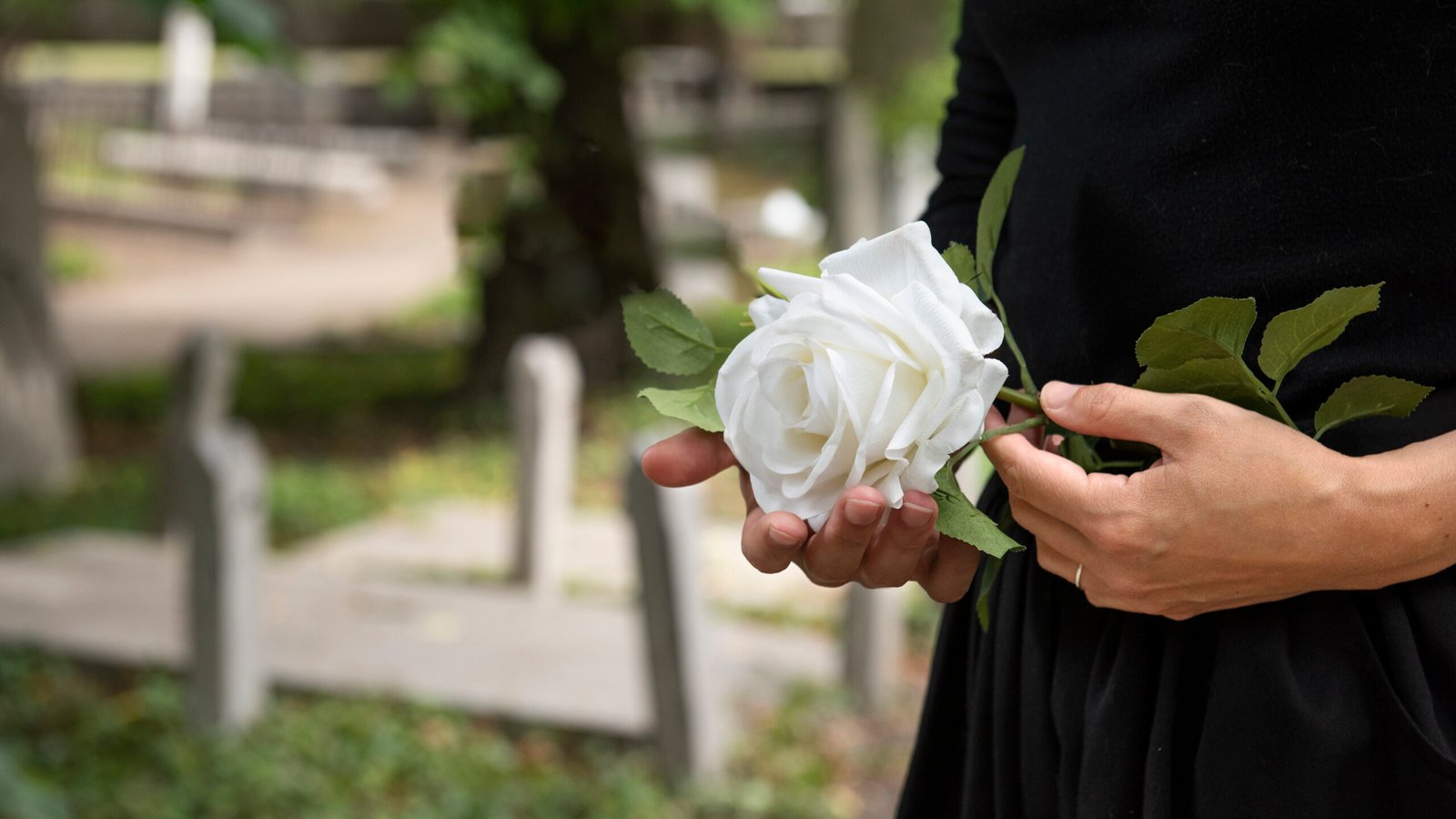 Plano funerário: um ato de amor e responsabilidade
